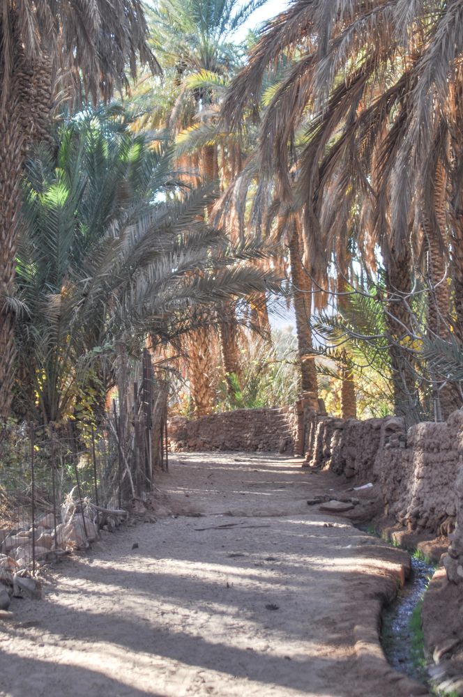 Photograph by Sekkouri Kamel