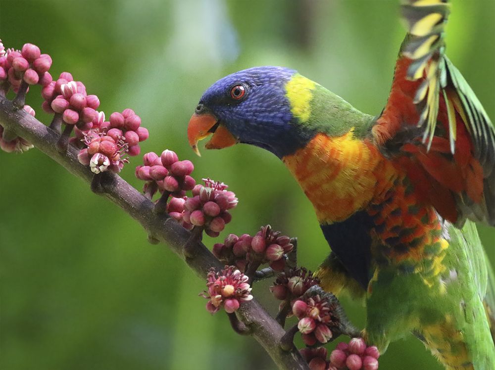 Photograph by Светлана Барабанщикова