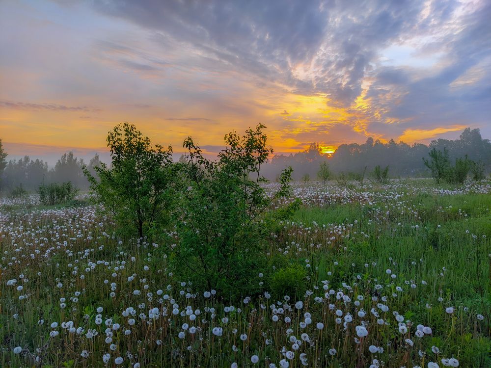 Photograph by Светлана Кондрашова
