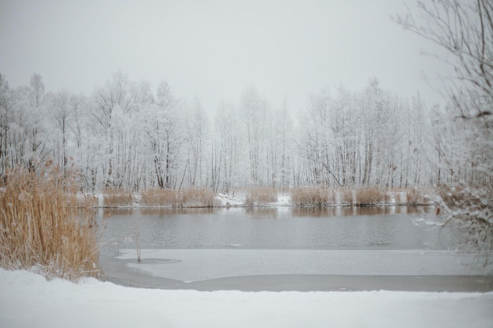 Photograph by Катерина Гордик