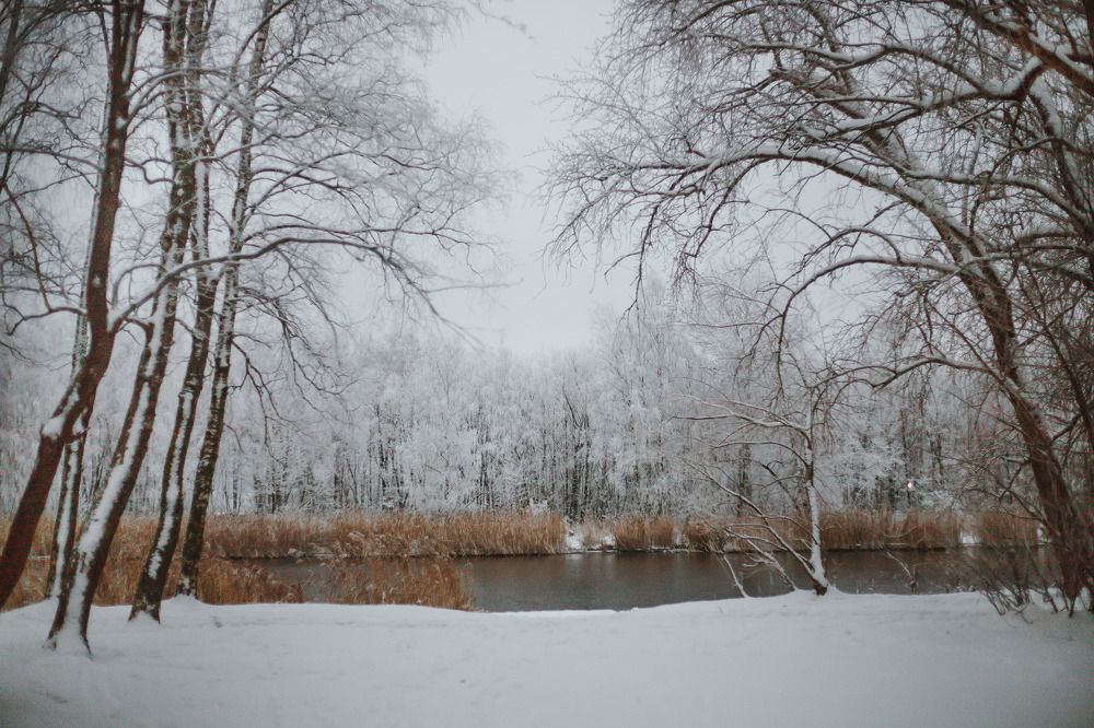 Photograph by Катерина Гордик