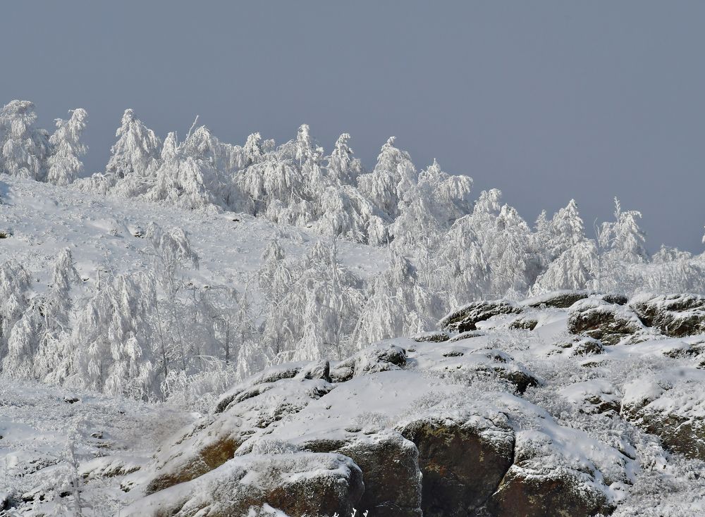 Фотография автора Алла Кожевникова