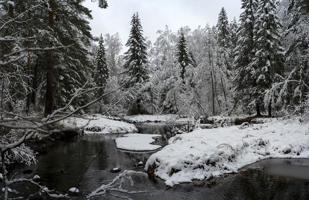 Photograph by Владимир Письмак