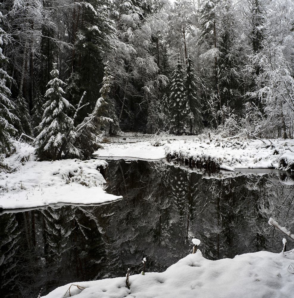 Photograph by Владимир Письмак