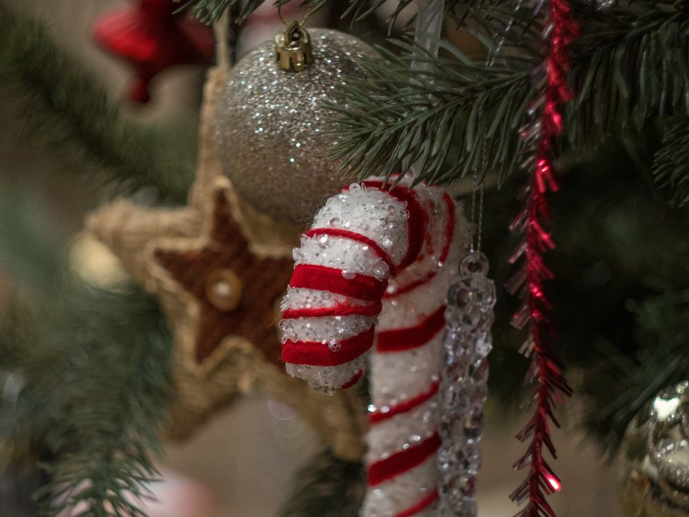 Photograph by Анна Шейко