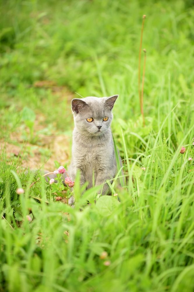 Photograph by Анна