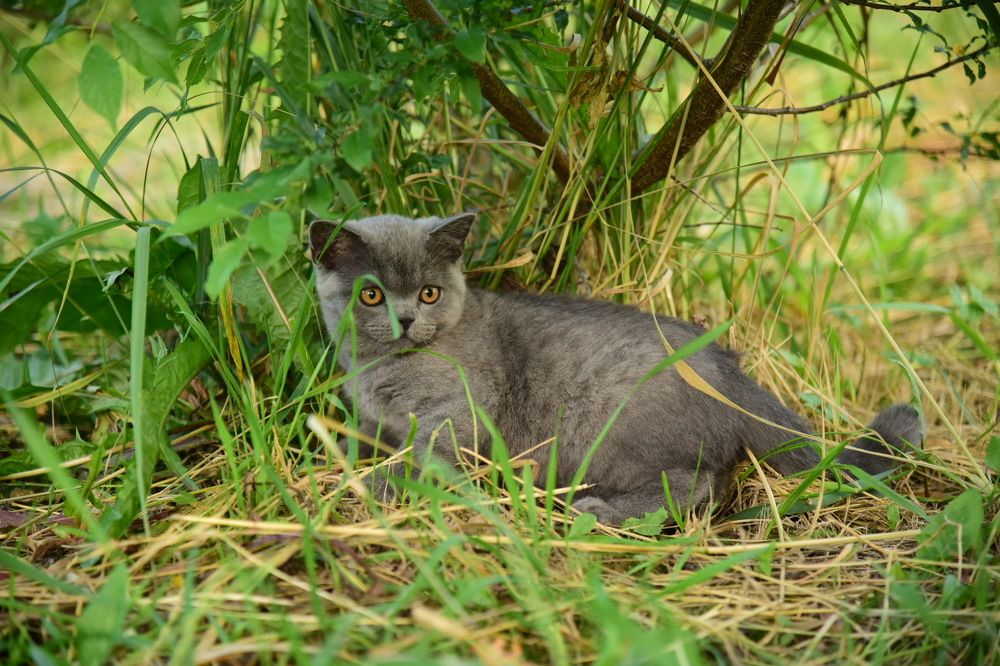 Photograph by Анна