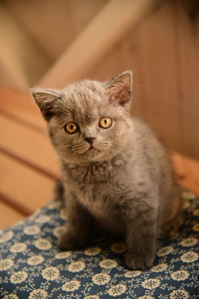 Photograph by Анна