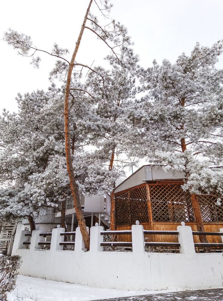 Фотография автора Юлия Гантимурова