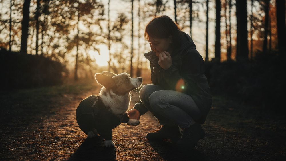 Photograph by Рома Янко