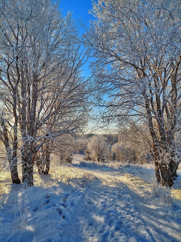 Photograph by Алёна Вороная