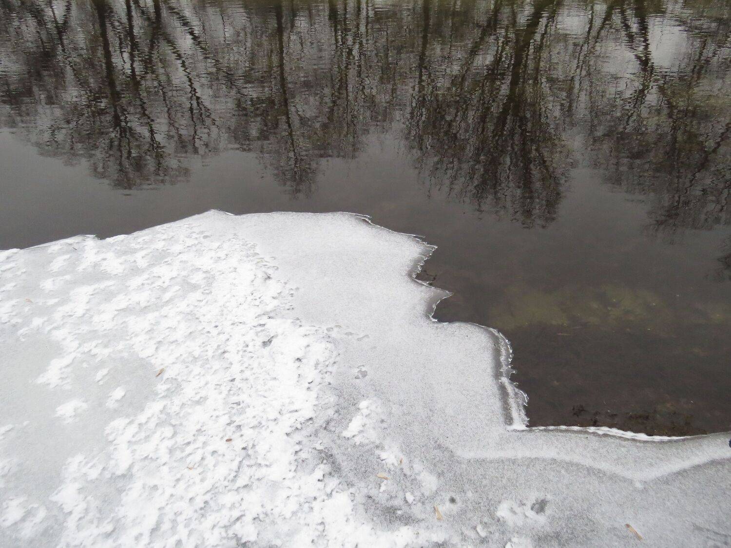Photo #8745170