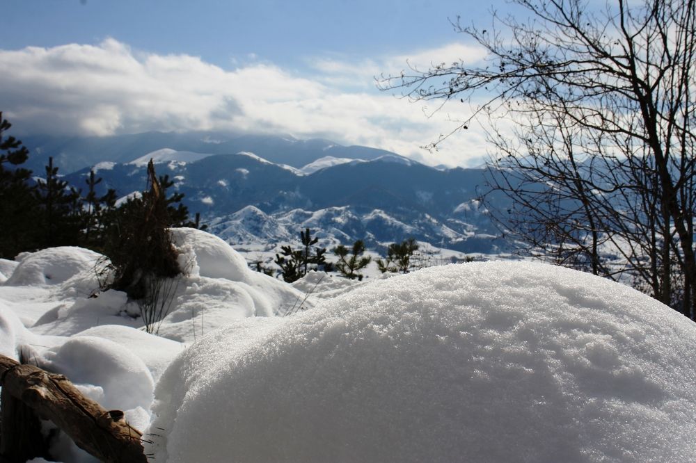 Photograph by Nadzeya