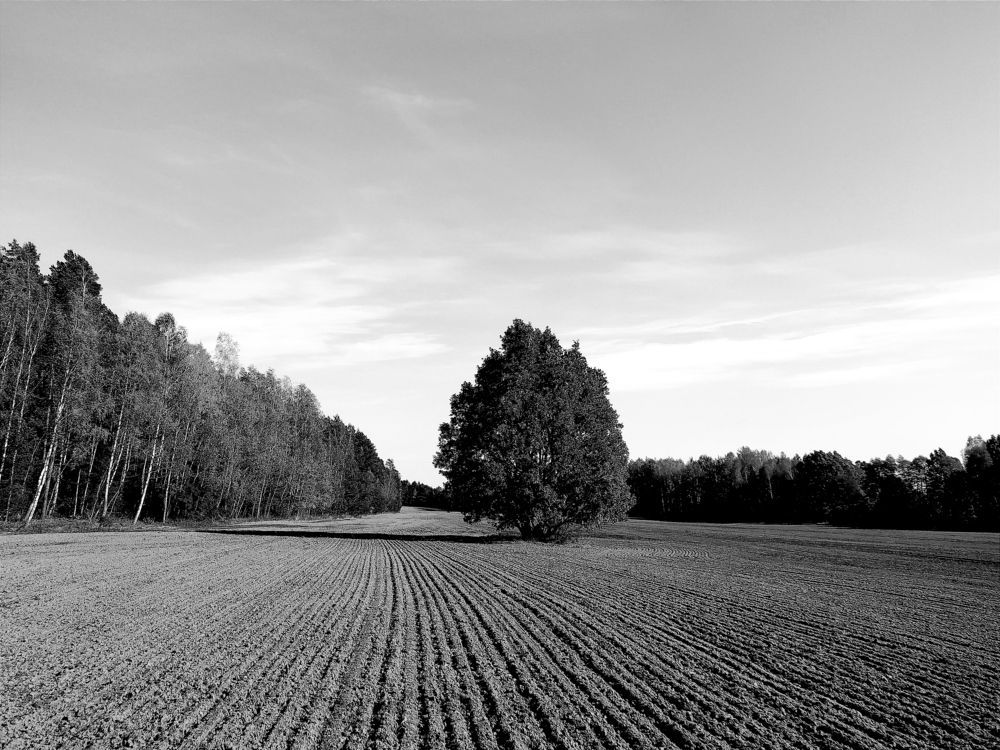 Photograph by Tatsiana Khinevich