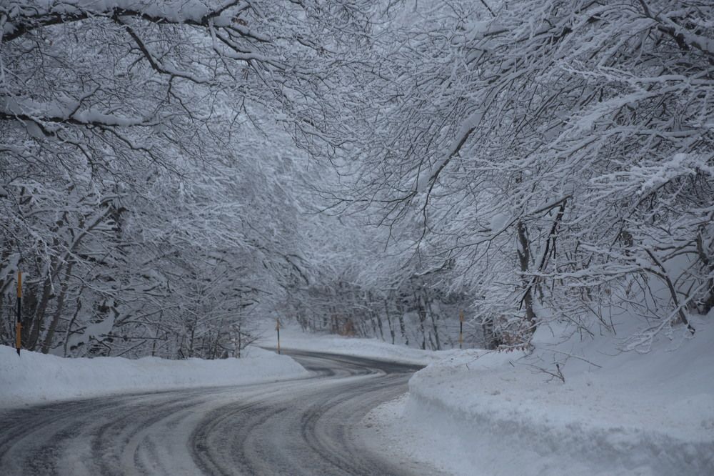 Photograph by Irnara Seidali