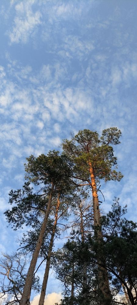 Photograph by Роман Якута