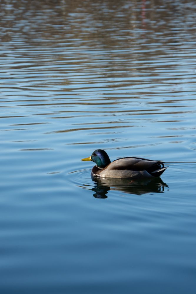 Photograph by Nataly Kiru