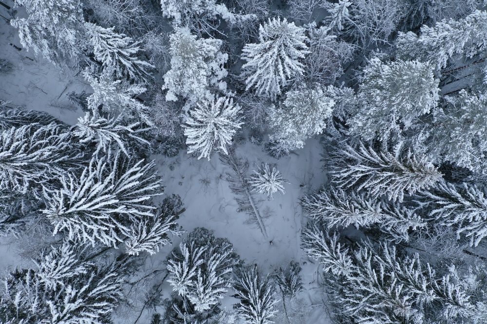 Photograph by Denis Nv