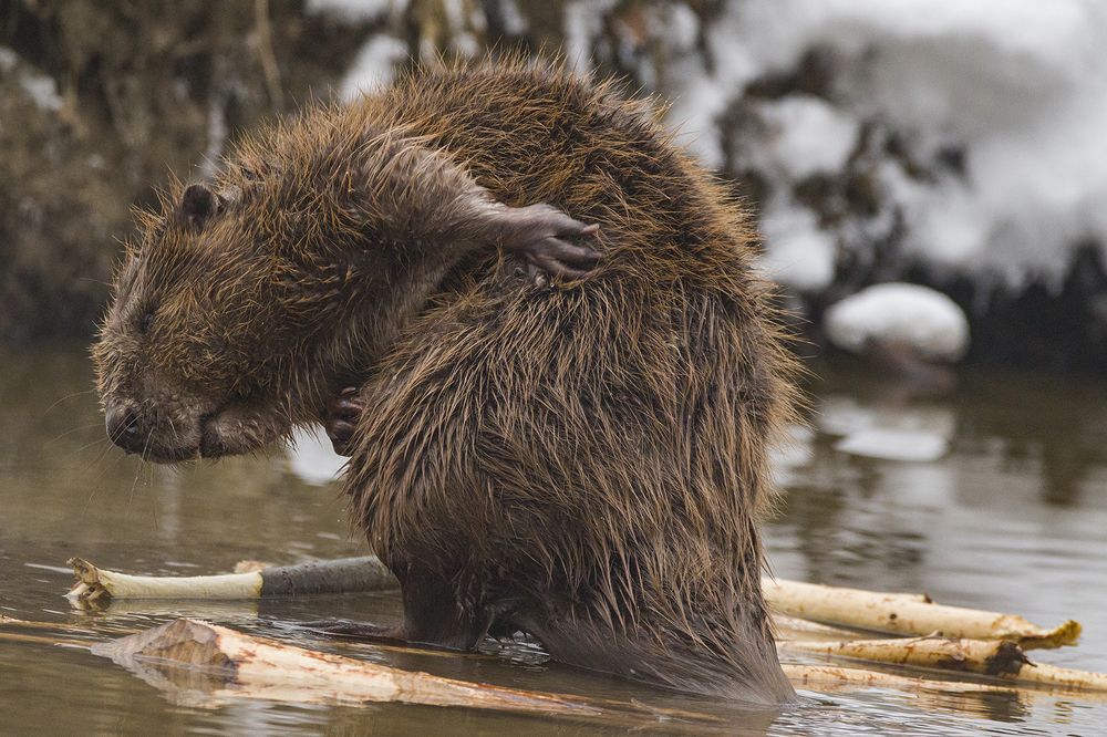 Photograph by Светлана Барабанщикова
