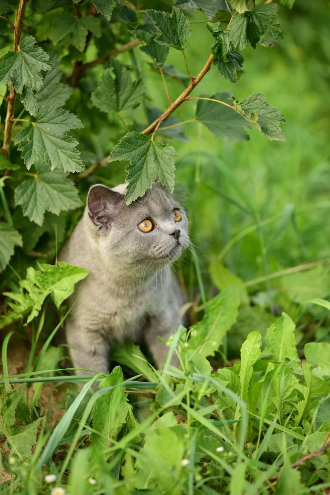 Photograph by Анна