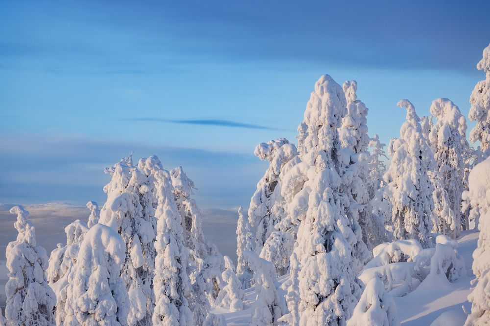 Photograph by Valentin Kolinko