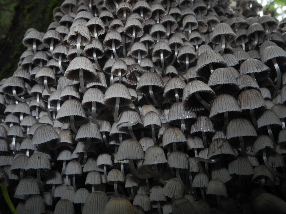 Photograph by Андрей Головин