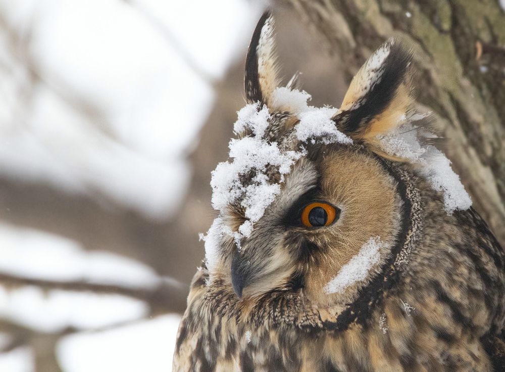 Photograph by Светлана Барабанщикова