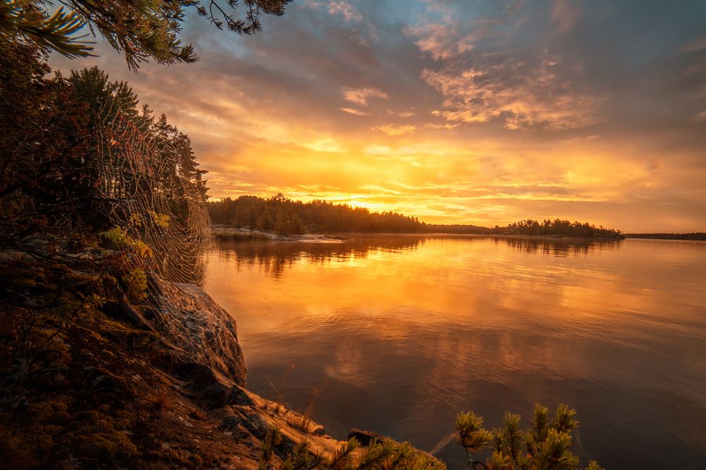 Photograph by Третьякова Анастасия