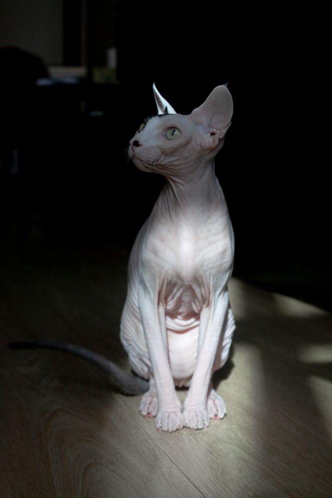 Photograph by Ирина Савицкая