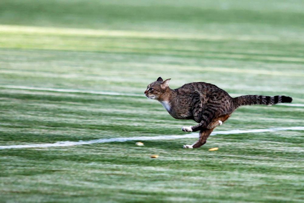 Photograph by mehdi karimi souderjani