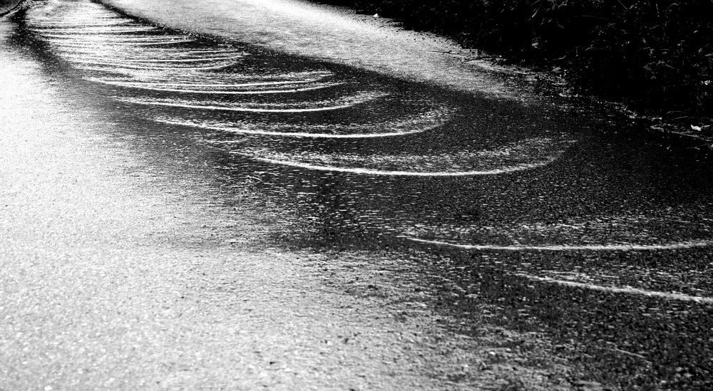 Photograph by Srdjan