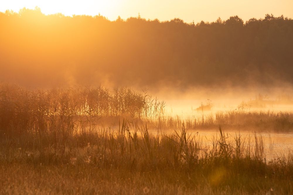 Photograph by Александр Степанов