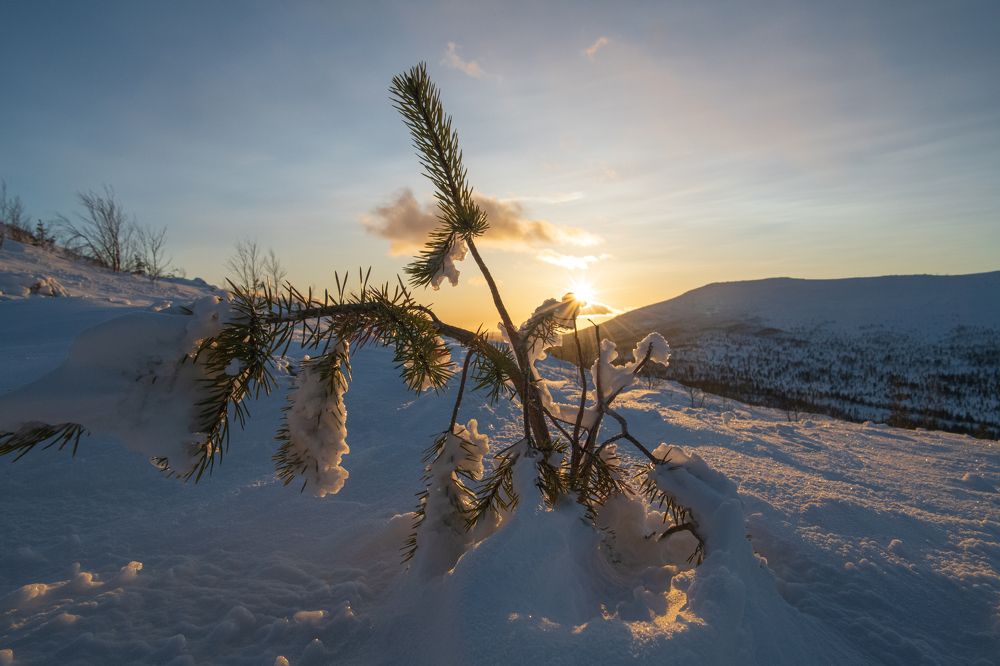 Photograph by Юрий Платухин