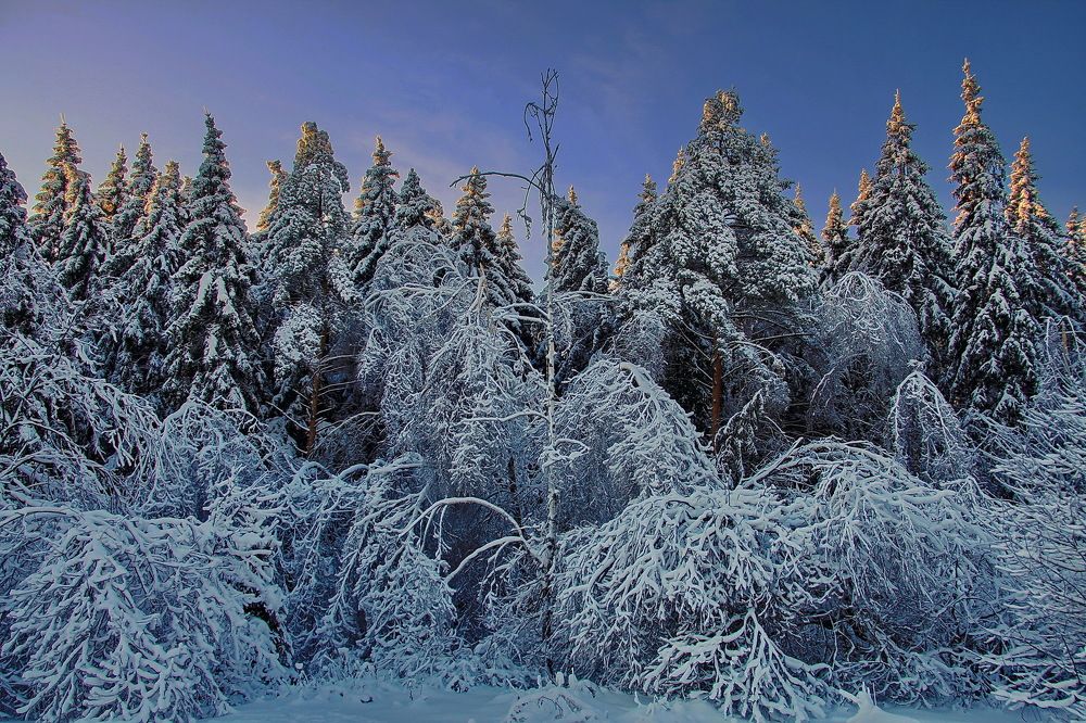 Photograph by VictОr