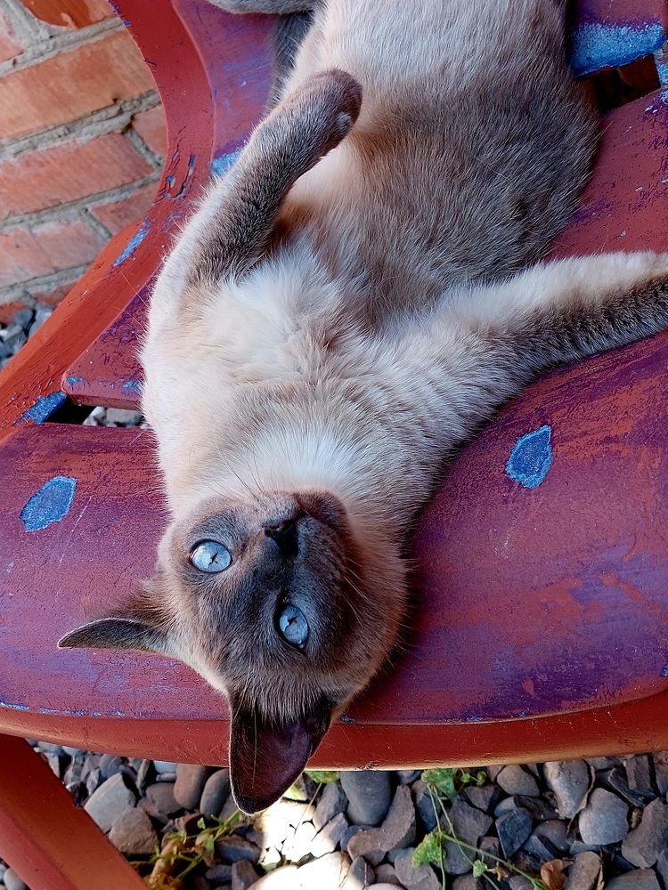 Photograph by Нина Паршина