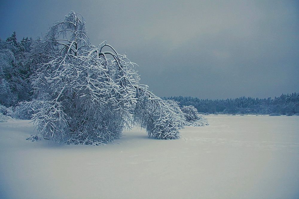 Photograph by VictОr