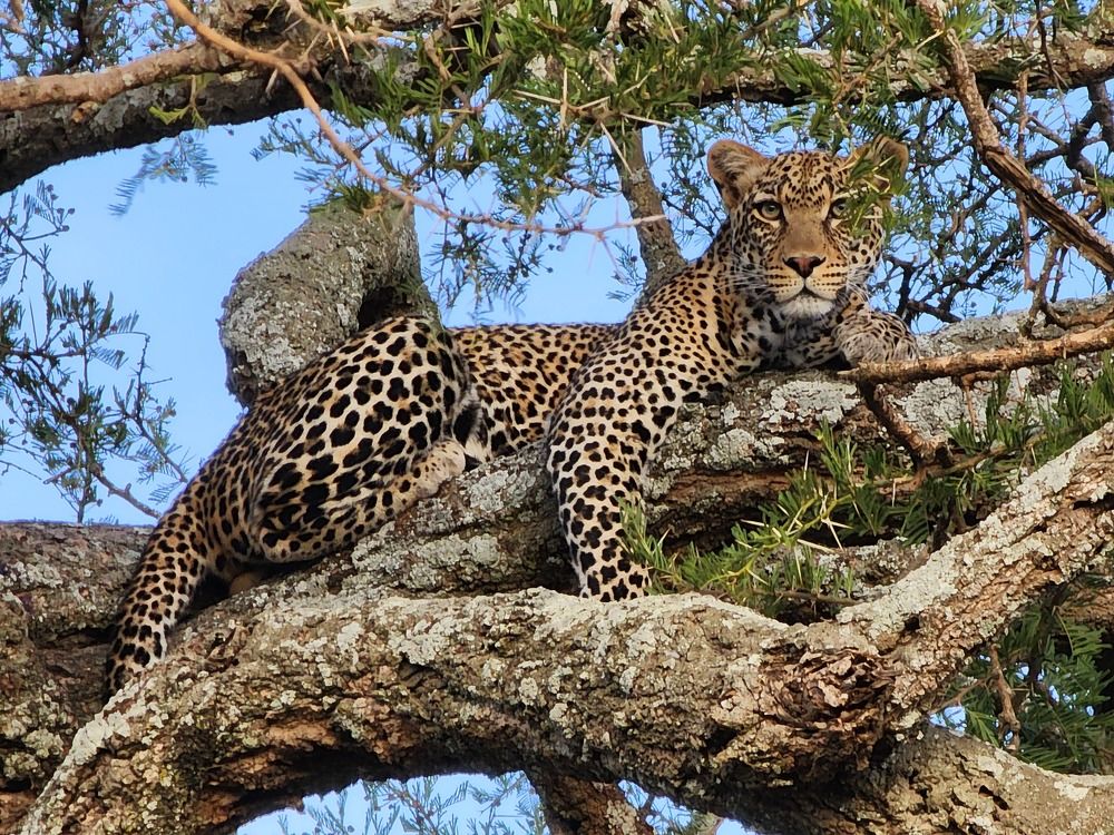 Photograph by Annamaria