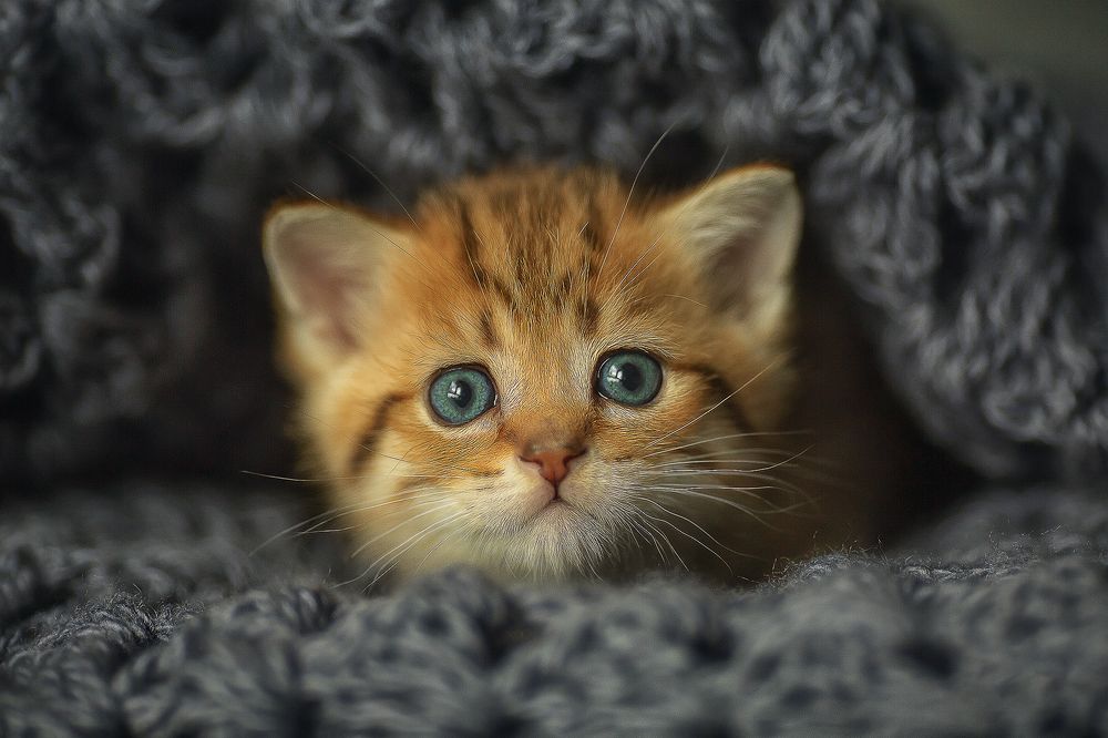 Photograph by Марина Леоненко