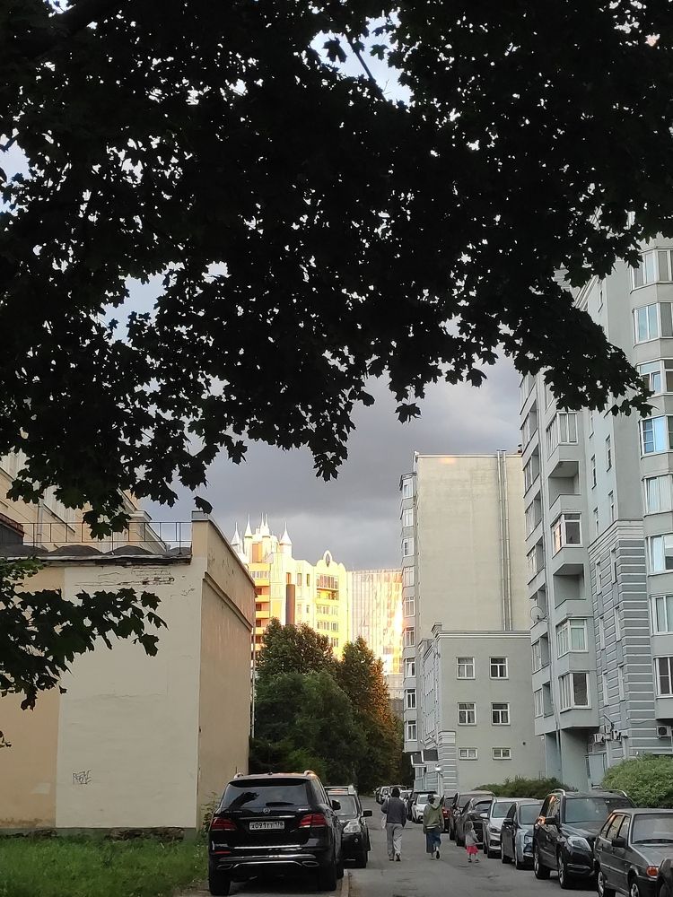 Photograph by Любовь