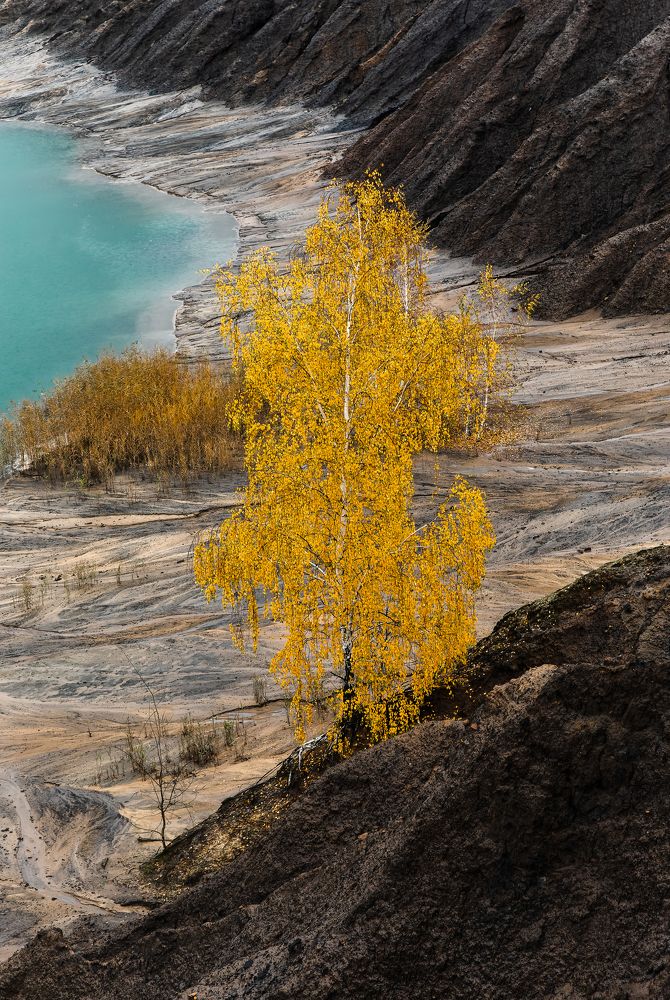 Photograph by Александр Степанов