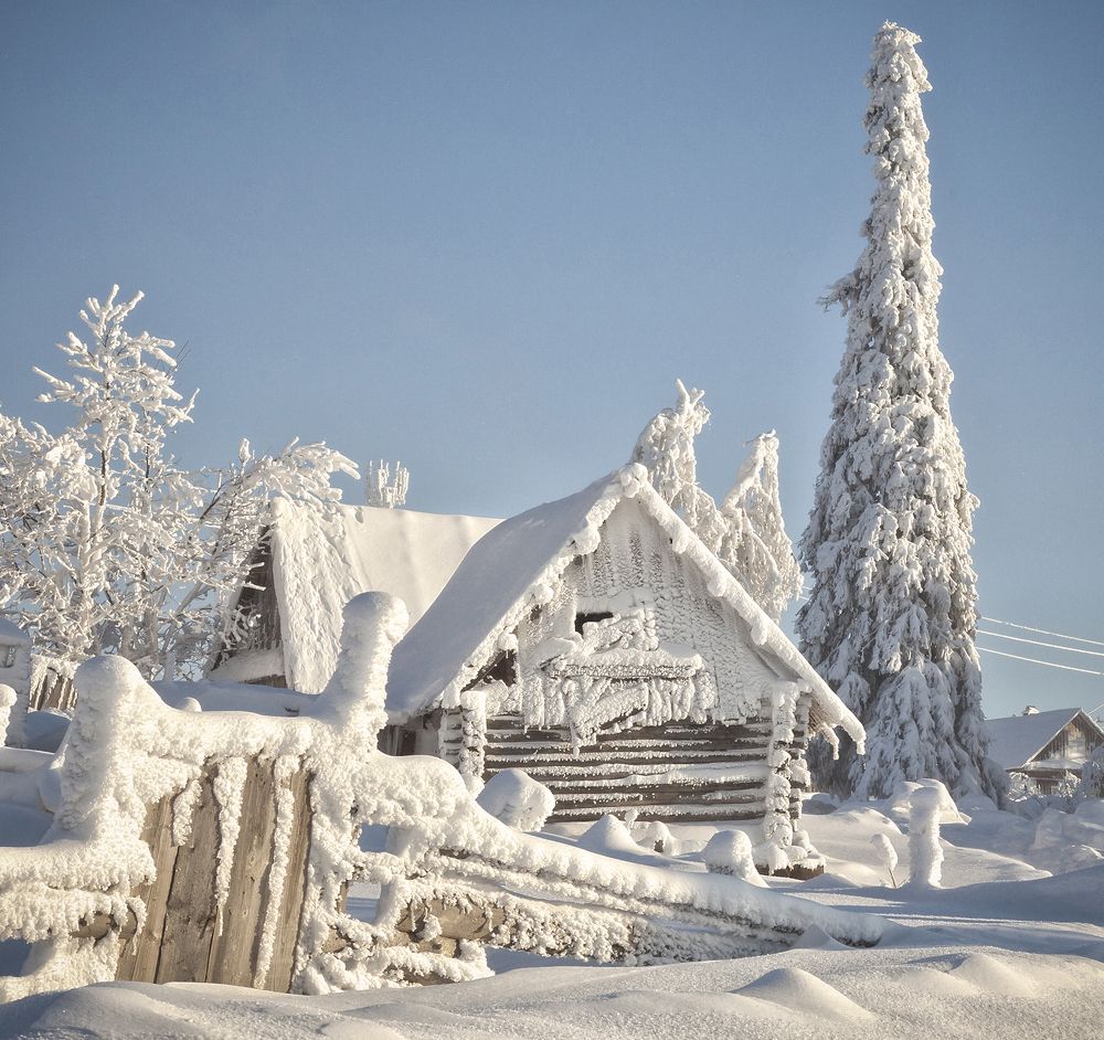 Photograph by Тамара Андреева