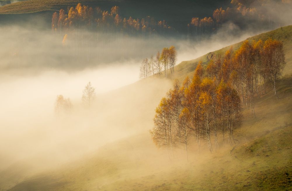Autumn scenery from Apuseni Mountains