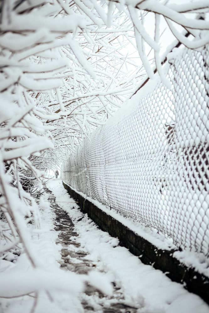 Photograph by Юлия Белозёрова