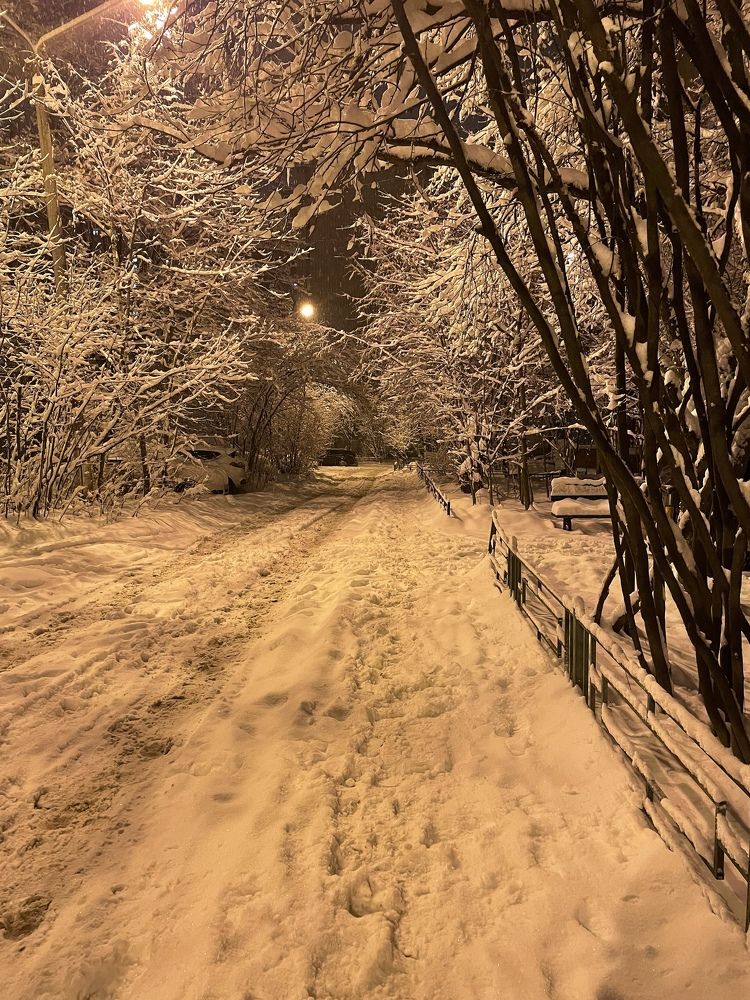 Photograph by Екатерина Артемова