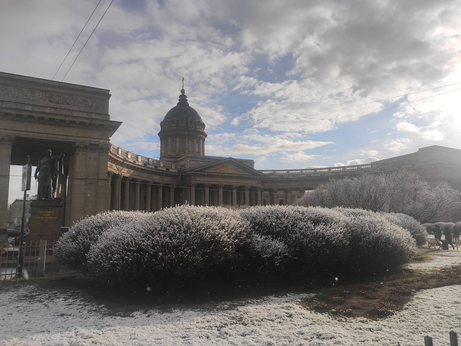 Photo #8745810
