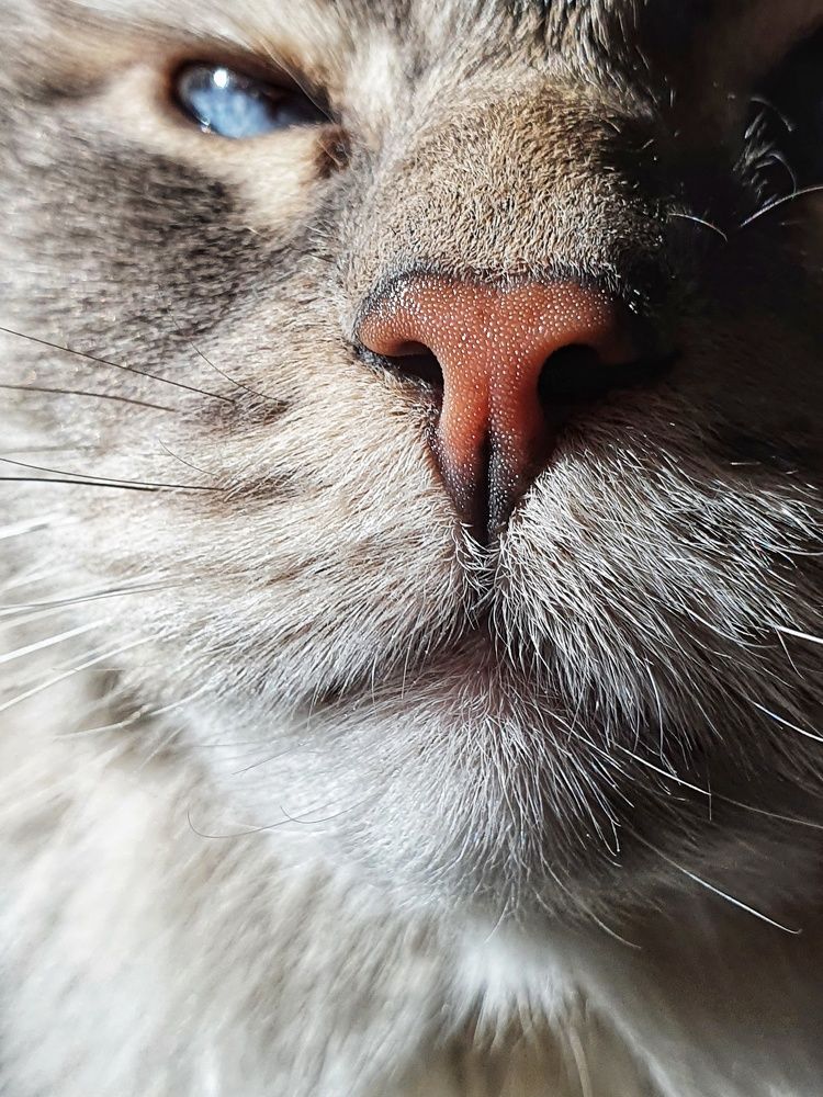 Фотография автора Volha Sidarenka