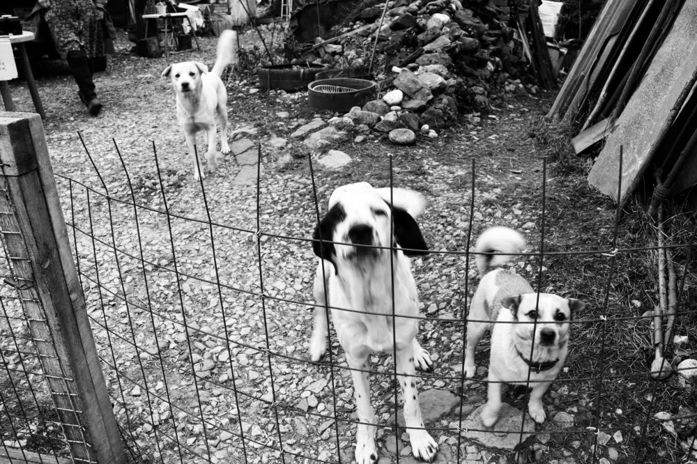 Photograph by Игорь Чечин