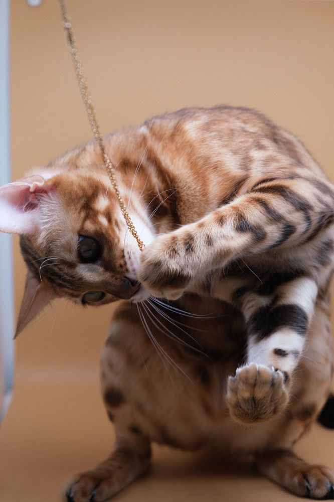 Photograph by Анжелика