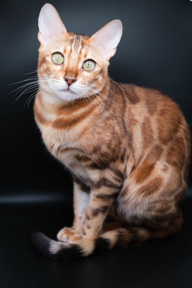 Photograph by Анжелика