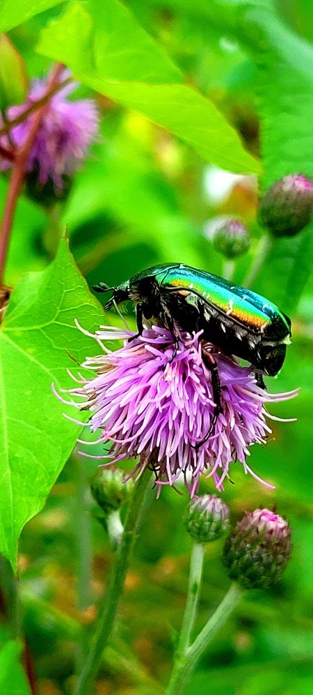 Фотография автора Kate Fontaine